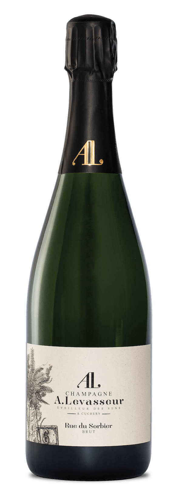 Champagne A. Lavasseur